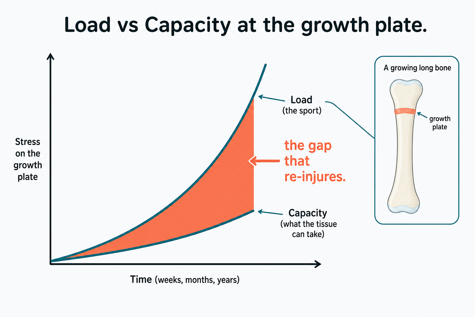 Load vs capacity at the growth plate